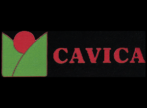 Cavica