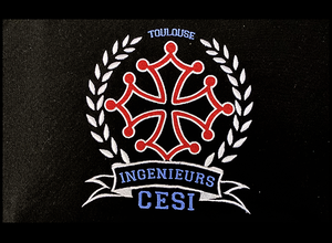 CESI Ingénieurs