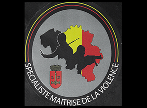 Maitrise de la violence