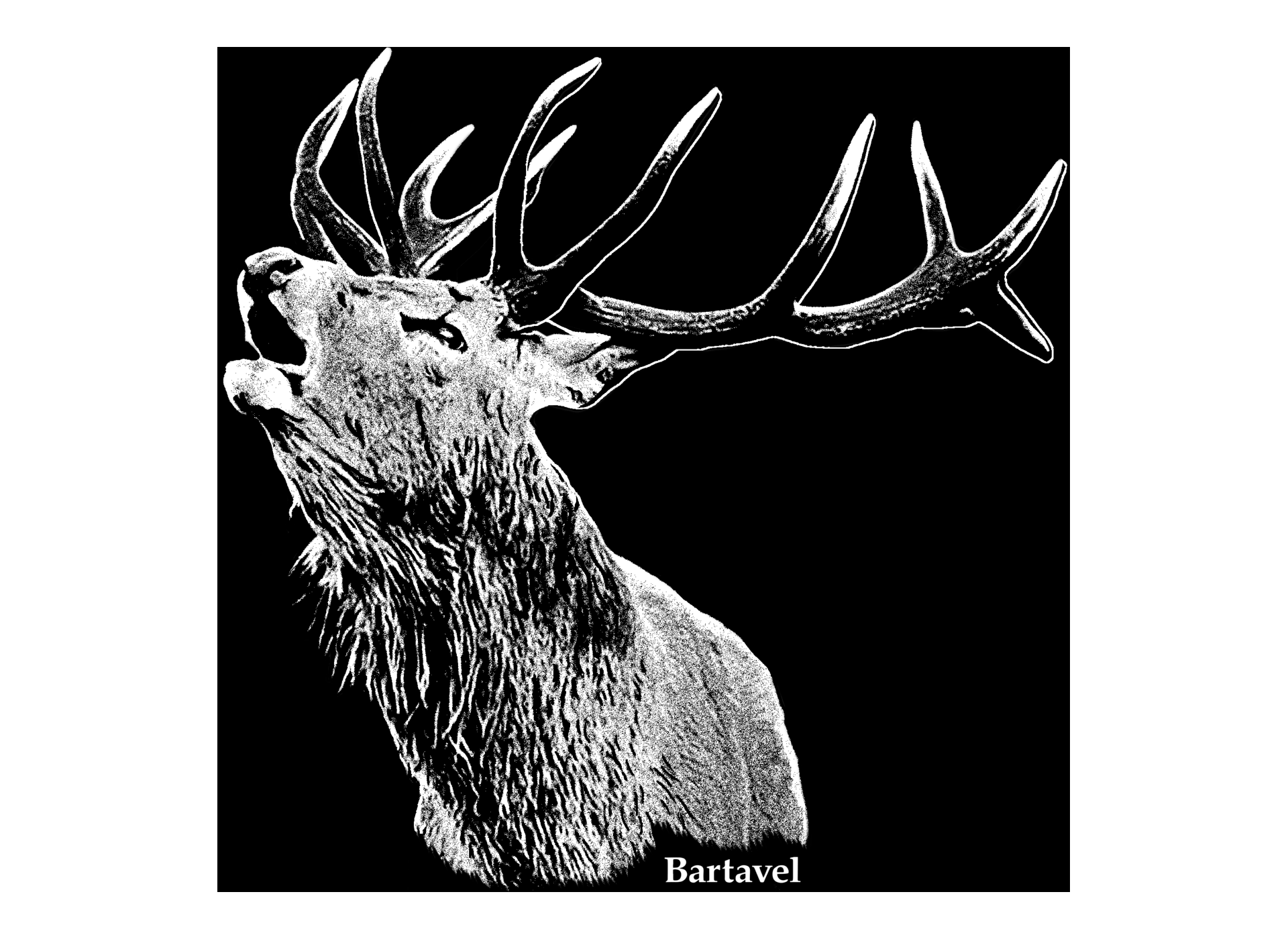 Motif transfert chasse T1109 cerf au brame
