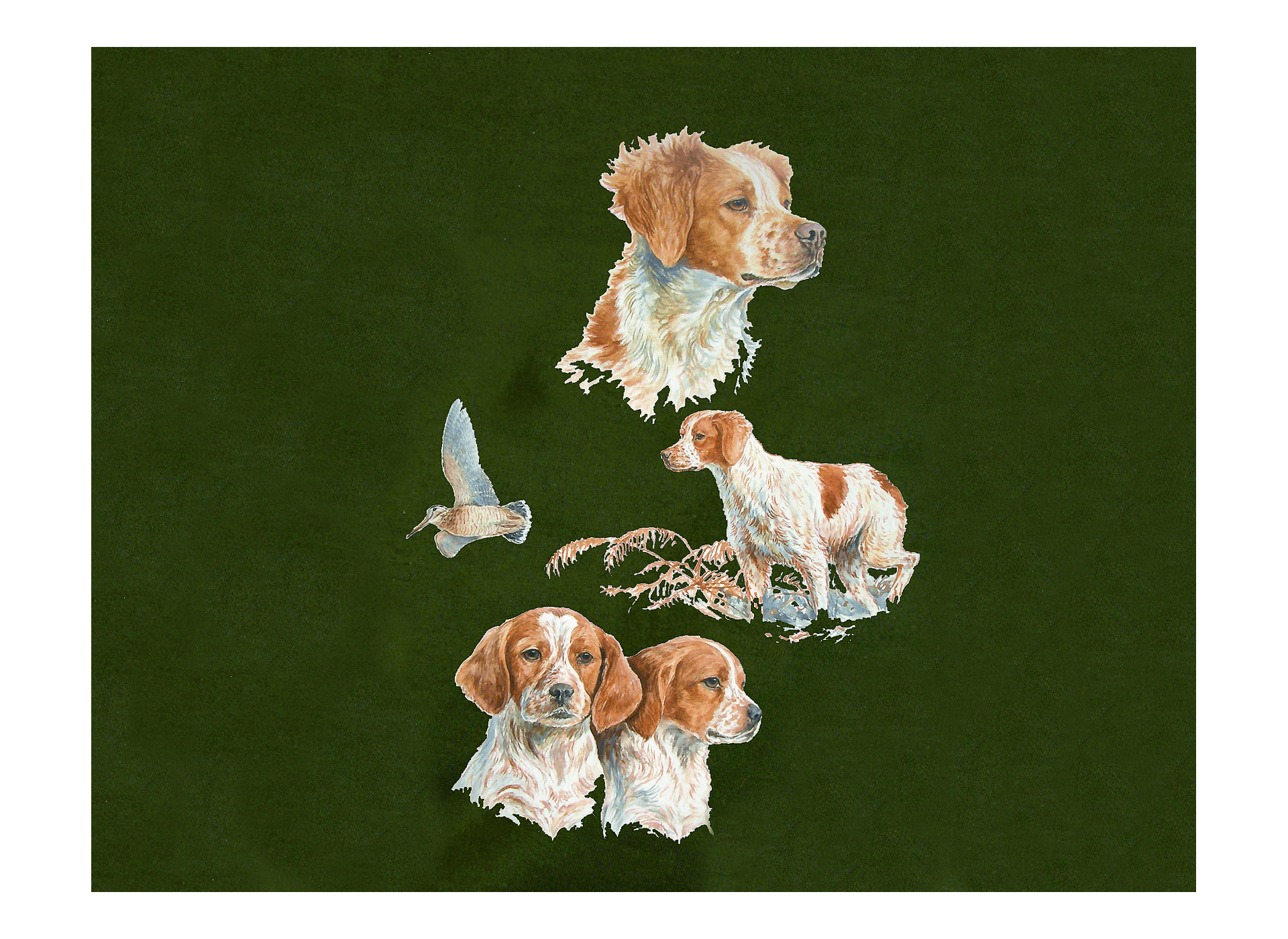 Motif transfert chasse T546 Epagneul