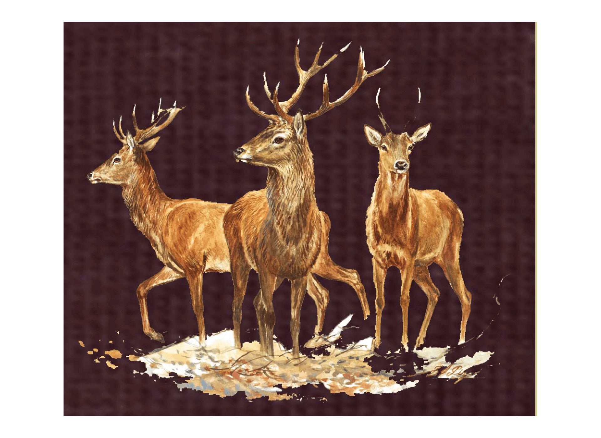 Motif transfert chasse T567 Trio de cerfs
