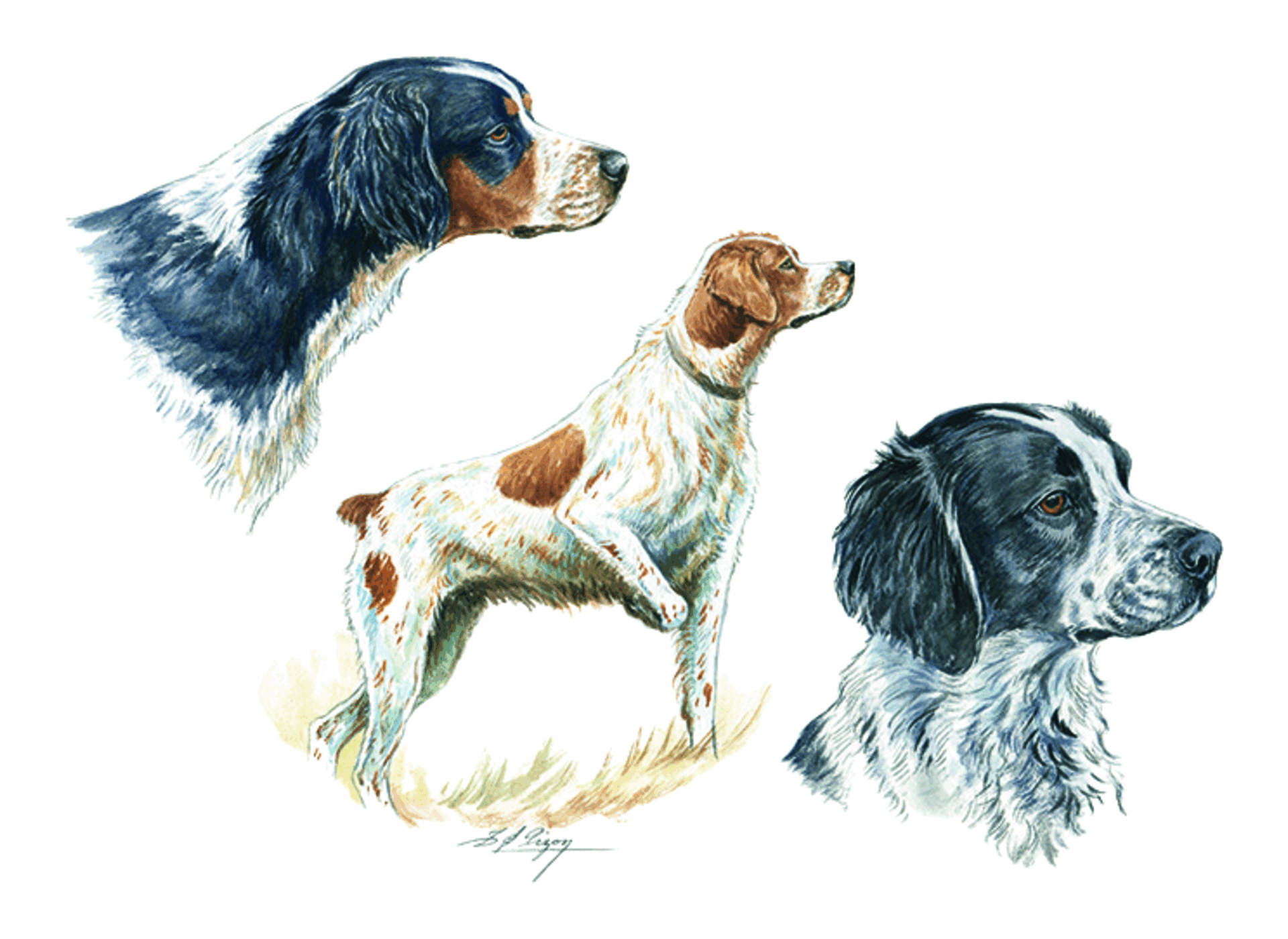 Motif transfert chasse T1104 Trio de chiens