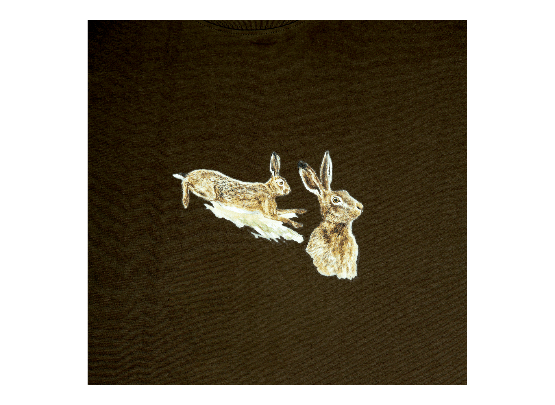 Motif transfert chasse T591 lièvres