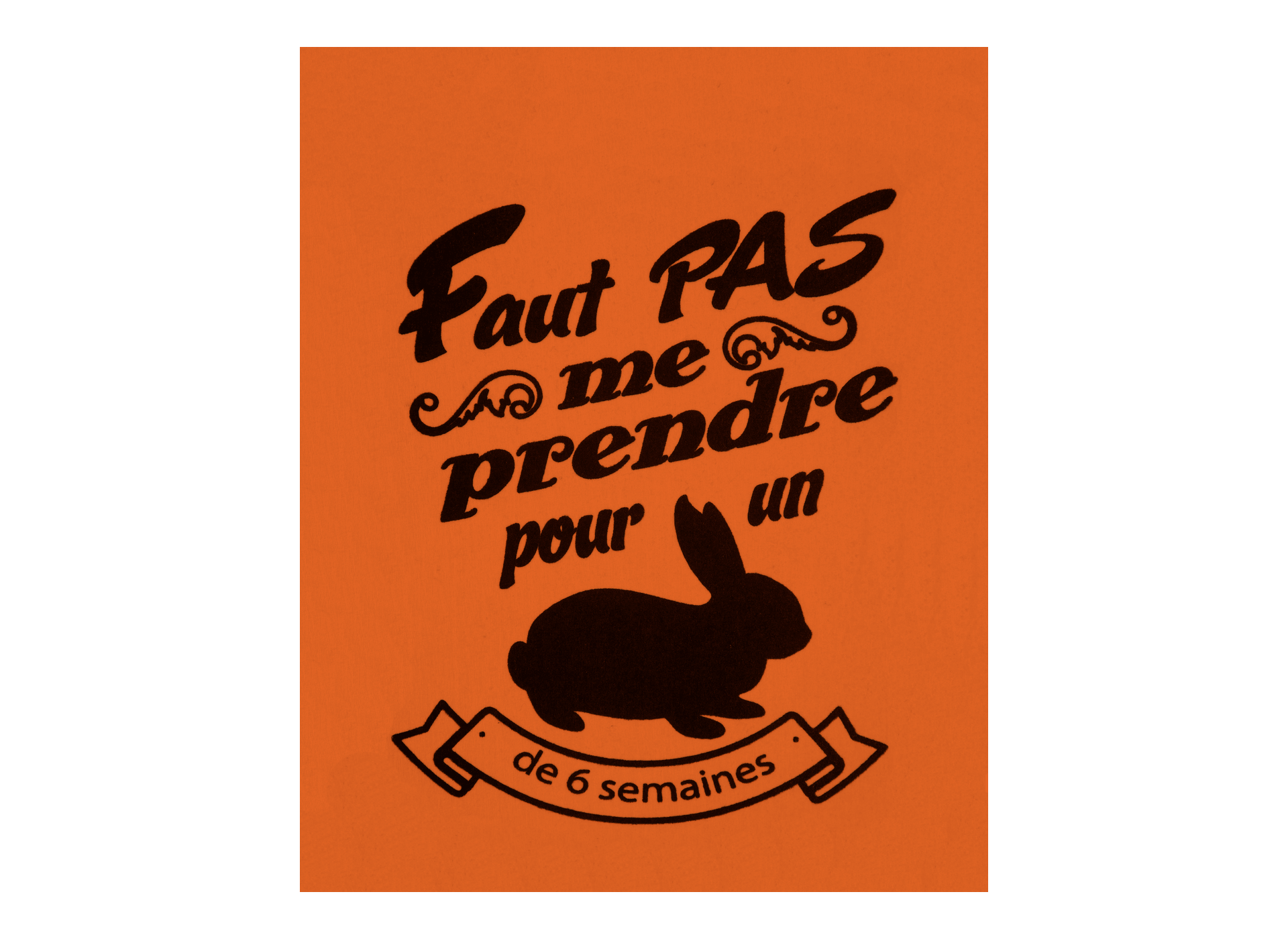 Motif transfert chasse T1054 lapin de 6 semaines